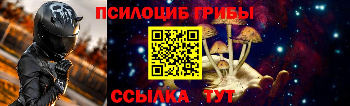 Зеленодольск  Псилоцибиновые грибы мицелий  Вход с VPN  Псилоцибиновые грибы прущие грибы 